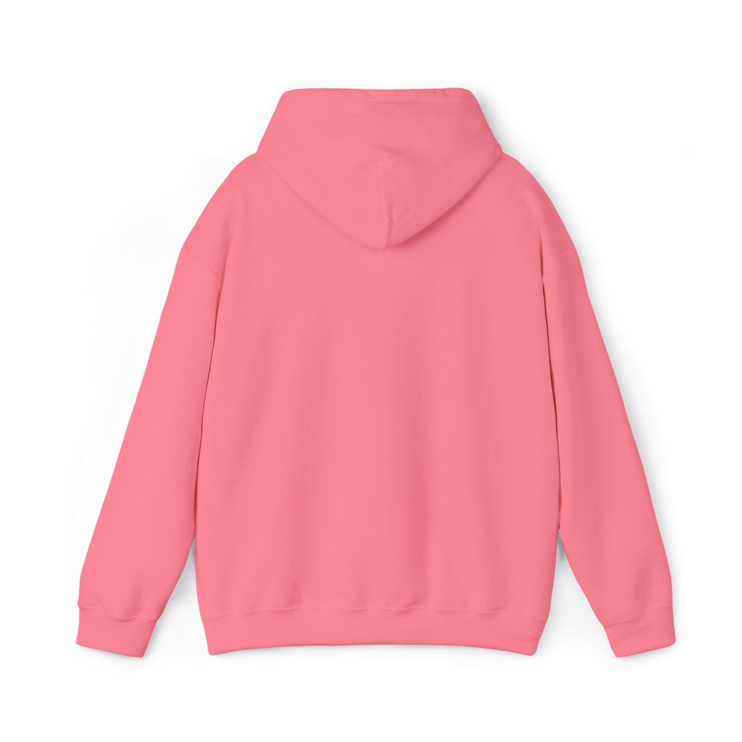 BUBBLE EMBROIDERED HOODIE