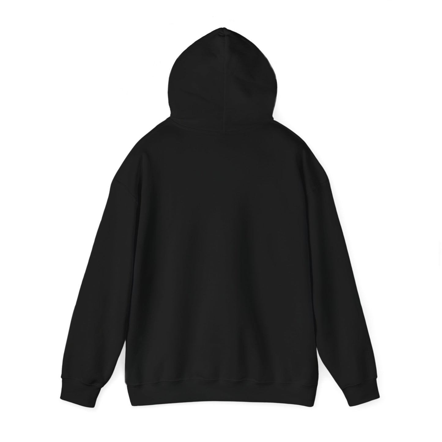 BIG AND BOLD HOODIE