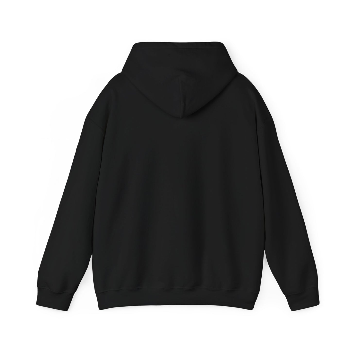 BIG AND BOLD HOODIE