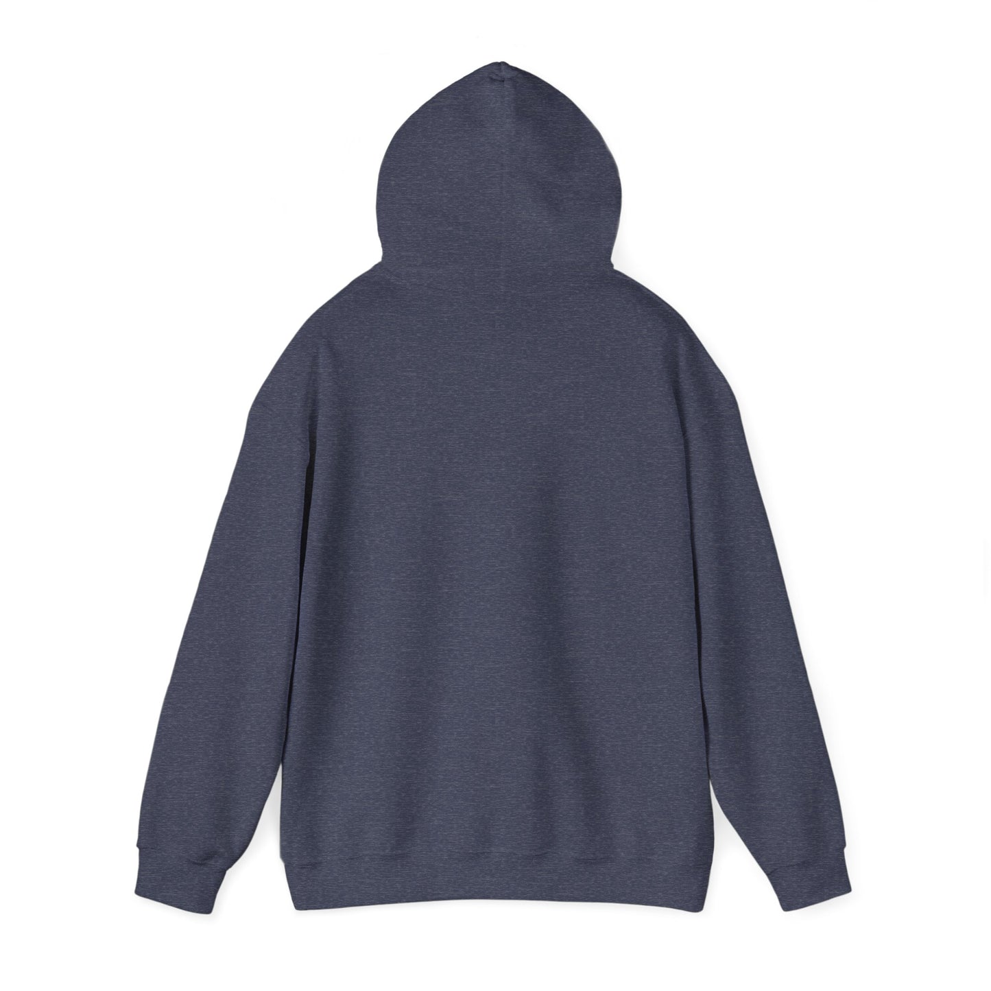 BIG AND BOLD HOODIE