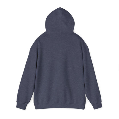 BIG AND BOLD HOODIE
