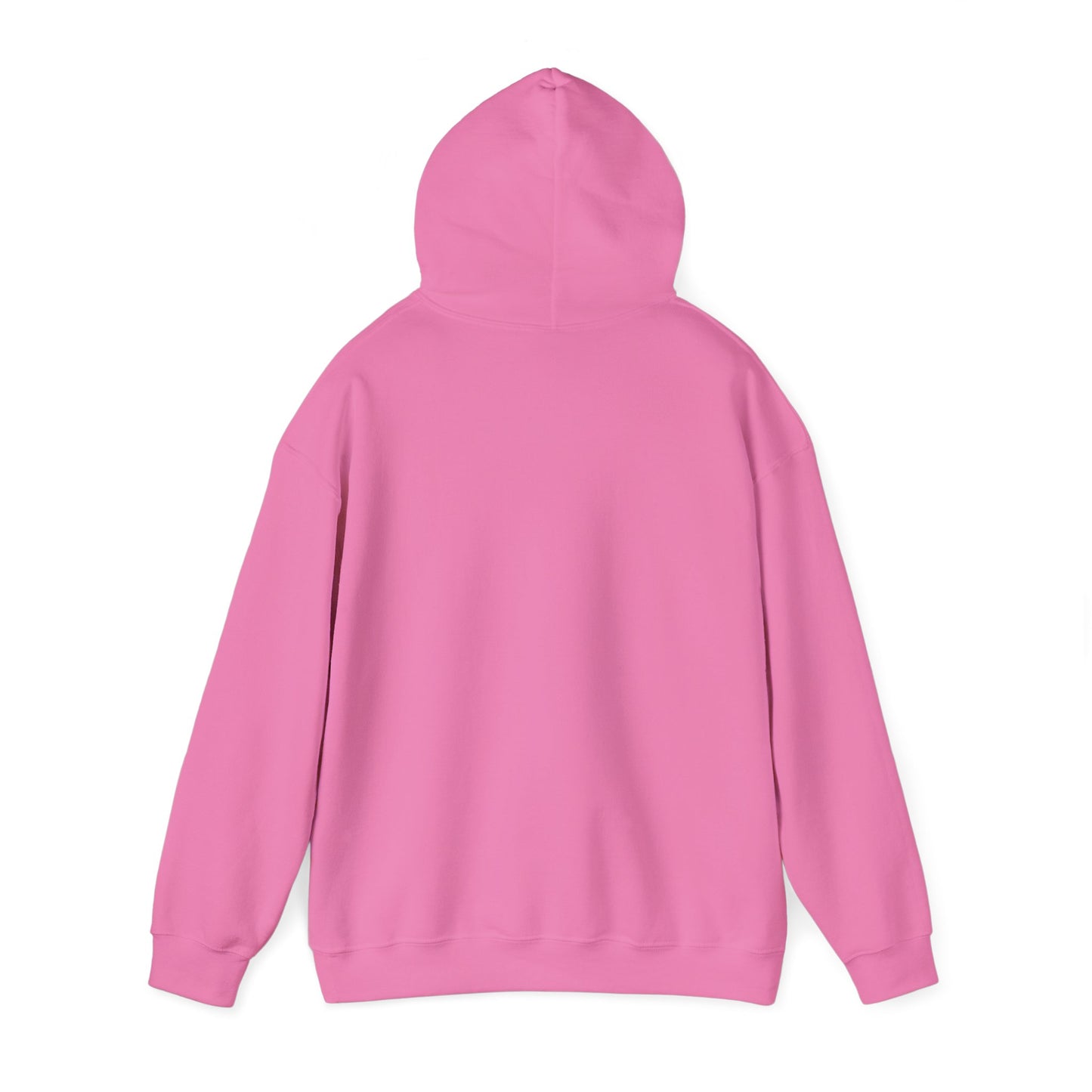 BIG AND BOLD HOODIE