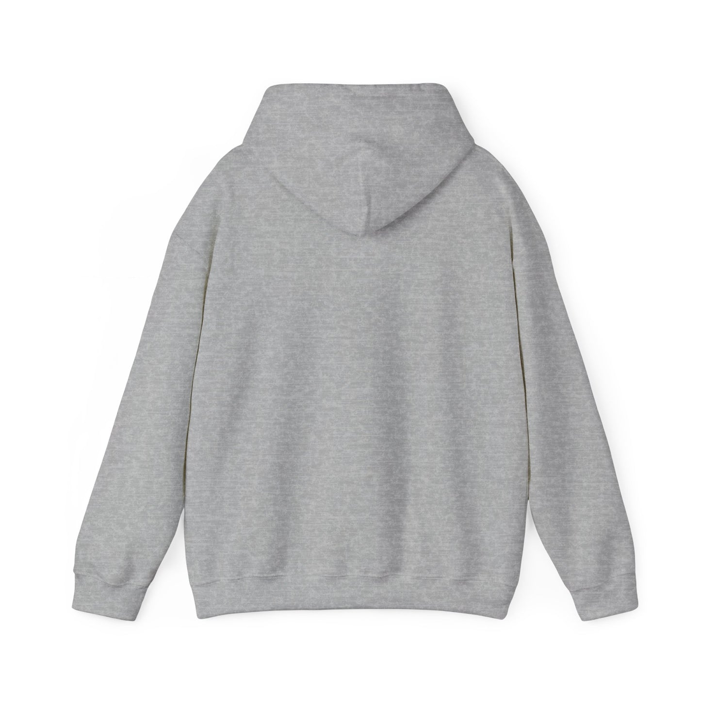 BIG AND BOLD HOODIE