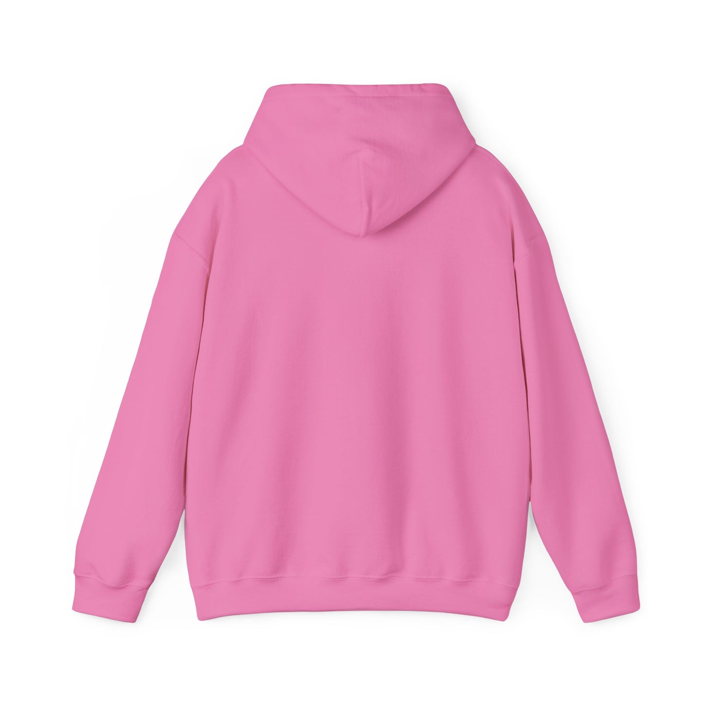 BIG AND BOLD HOODIE