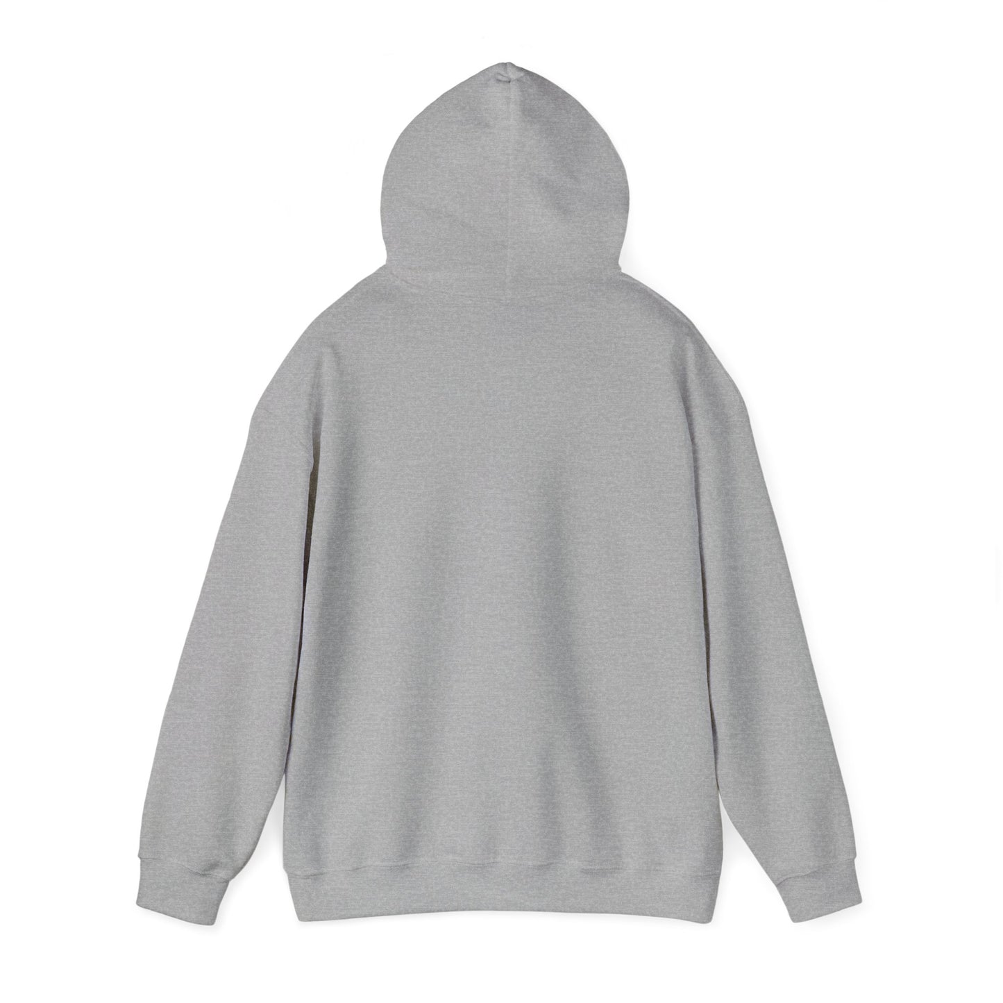 BIG AND BOLD HOODIE