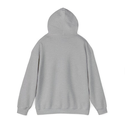 BIG AND BOLD HOODIE