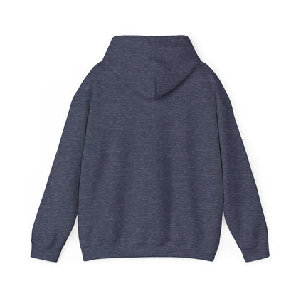 BIG AND BOLD HOODIE