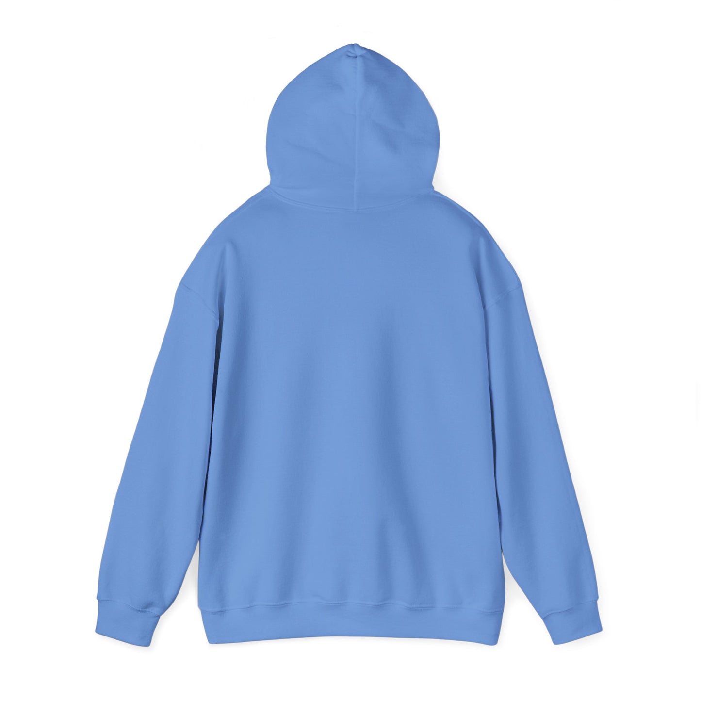 BIG AND BOLD HOODIE