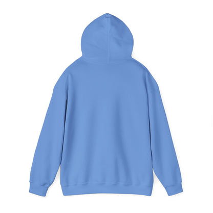 BIG AND BOLD HOODIE