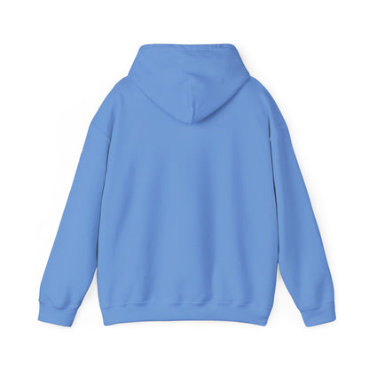 BIG AND BOLD HOODIE